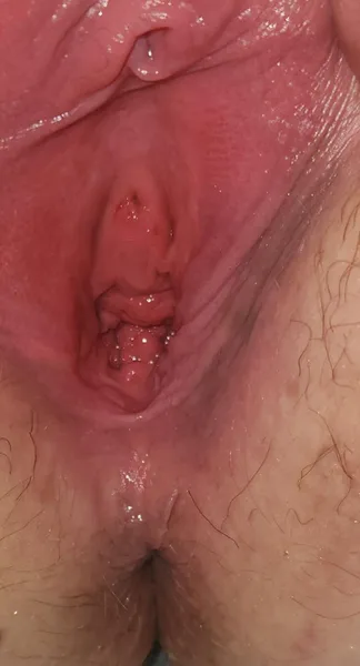 F38 how's my pussy