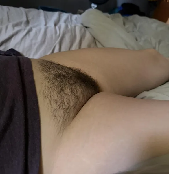 Freshly Conditioned