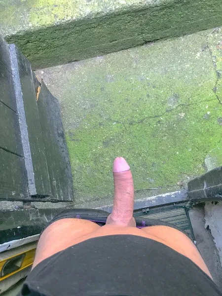 (M) little play toy