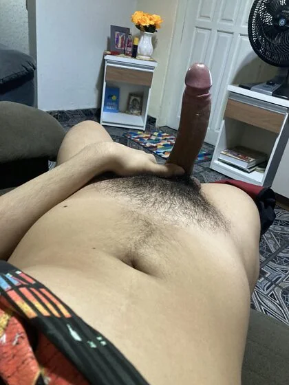 25, gay Brazilian Hard Dick