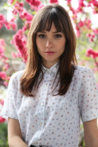 Jocelin Donahue