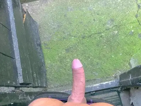 (M) little play toy